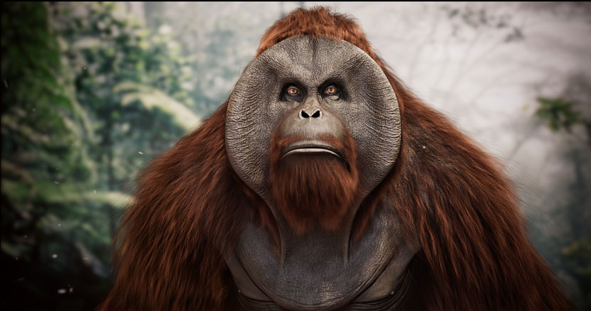 Orangutan by Flore Argentieri